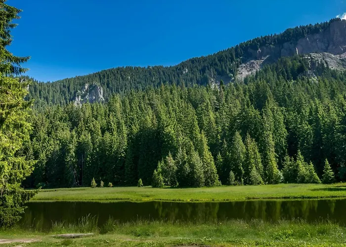 Old House Glavatarski Hotel *